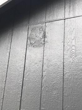 There have been problems with LP siding prematurely failing.