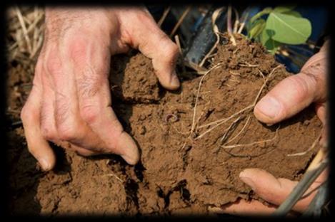 Soil Quality the capacity of a specific kind of soil to function, within natural or managed ecosystem boundaries,
