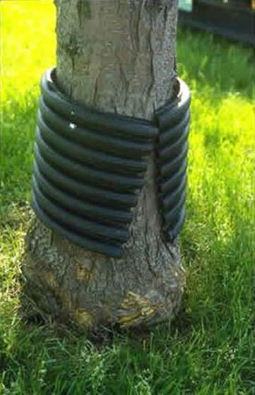 TREE STEM PROTECTION SYSTEMS Protects trees from weed whips, lawnmowers, animals and