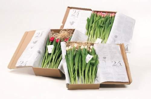 PACKAGING, LABELING AND STORAGE Recycled corrugated cardboard boxes and plastic cable ties.