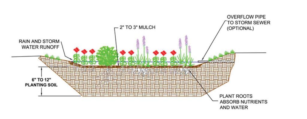 How can you determine the proper size and configuration? Rain gardens are highly versatile and can be constructed in a wide variety of shapes and sizes.