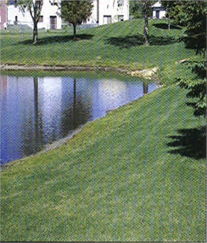 Disadvantages of a traditional lawn Increased runoff with pollutant load.