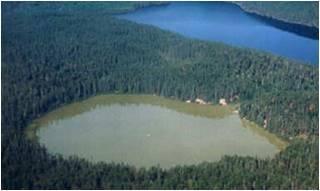 Limiting phosphorous is the key David Schindler, University of Ontario, experimented on Lake 227 in northern Ontario for 37 years by adding carbon, nitrogen and phosphorus to half the lake, and only