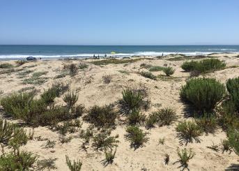 CA Nature- Based Adaptation Beaches and Dunes Humboldt Coastal Dune Vulnerability and