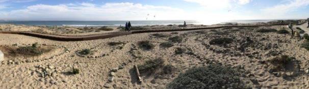 Managed Retreat (City of Buenaventura) Salinas River State Beach Dune Restoration