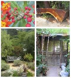 BAY-FRIENDLY RESOURCES For Home Gardeners Bay-Friendly Garden Tour Bay-Friendly Nursery