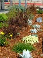 3. NURTURE THE SOIL Use mulch abundantly Amend with compost Feed soils naturally Avoid synthetic, quick release fertilizers Minimize the use of chemical pesticides Protect soil from compaction and