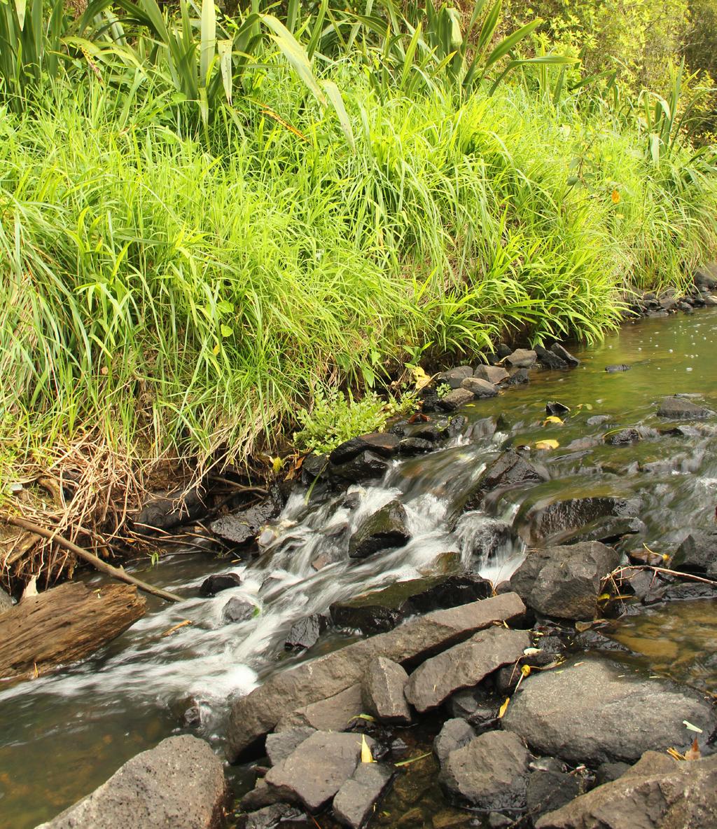 Working with nature to manage your stream Issued by Auckland Council March 2013 If you have any questions about this information sheet please contact Auckland Council on 09 301 0101 A stream in a