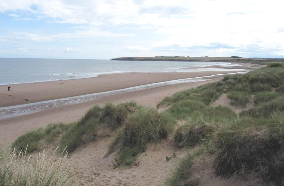 Lunan Bay A few miles further north the cliffs give way to a Lunan Bay stunning east-facing beach is backed by sand