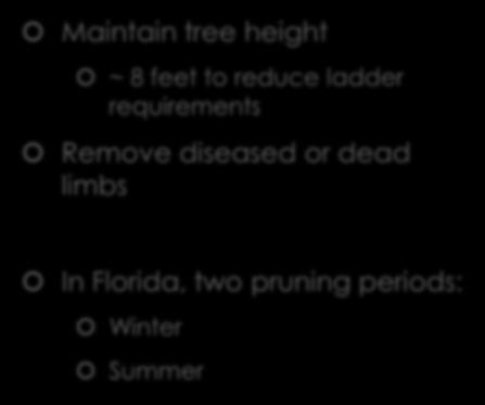 Pruning Principles for Orchards Maintain tree