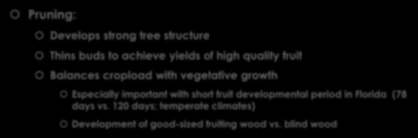 Pruning Principles for Orchards Pruning: Develops strong tree structure Thins buds to achieve yields of high quality fruit Balances cropload with vegetative growth