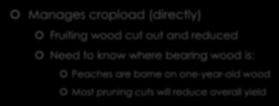 Importance of Proper Pruning Manages cropload (directly) Fruiting wood cut out and reduced Need to know