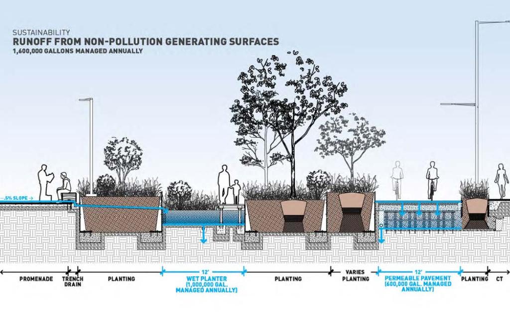carbon sequestration and pollution absorption, and reduced stormwater runoff.