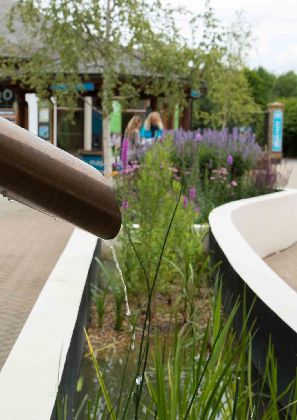 16 Sustainable Drainage Systems