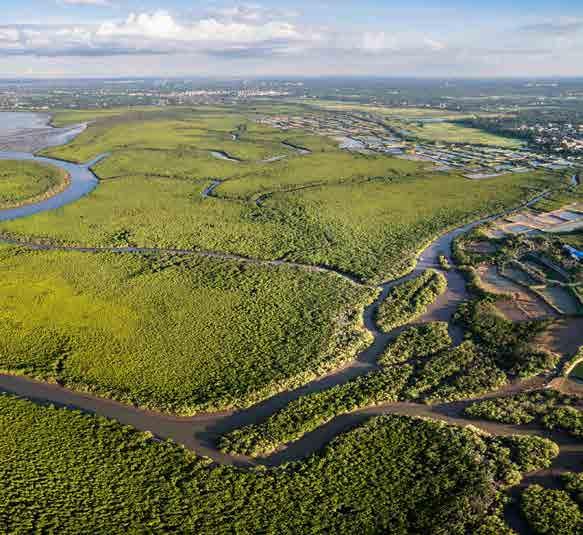 The Haikou Municipal Government has also formulated the Haikou Wetland conservation and Restoration Master Plan (2017-2025), which clarified the goal of wetland conservation and restoration.