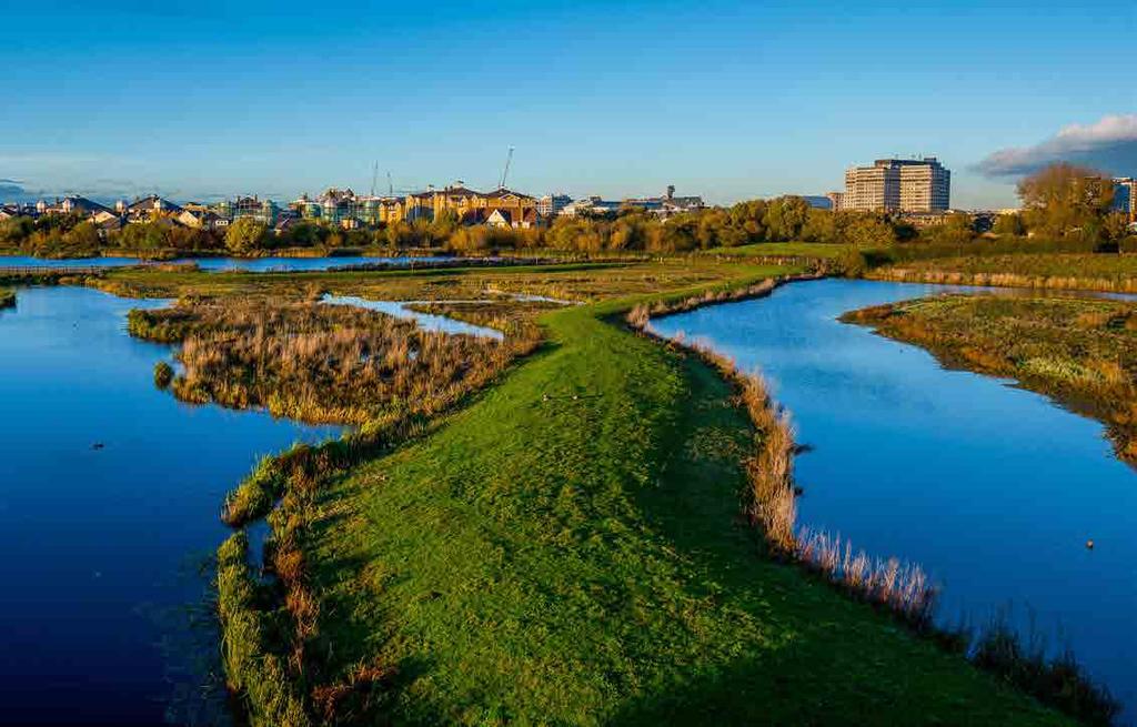 hectares of wetlands were created in the heart of a capital city. Disused reservoirs, owned by a private water company, were transformed into a range of wetland habitats and visitor facilities.