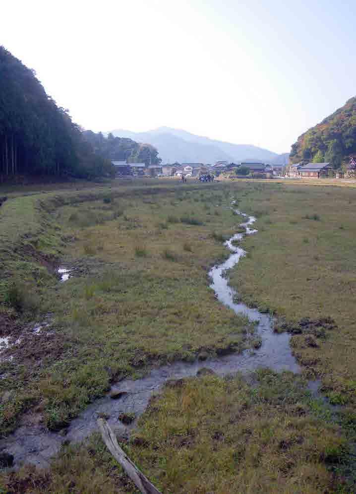 Paddy fields, located on mountain ridges, are often heavily used by wild animals, such as deer and wild boar, and are then difficult to manage.