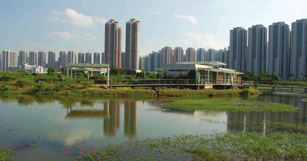 Recommendations to developers: 1. Avoid destroying or degrading wetlands as a result of new developments 2.
