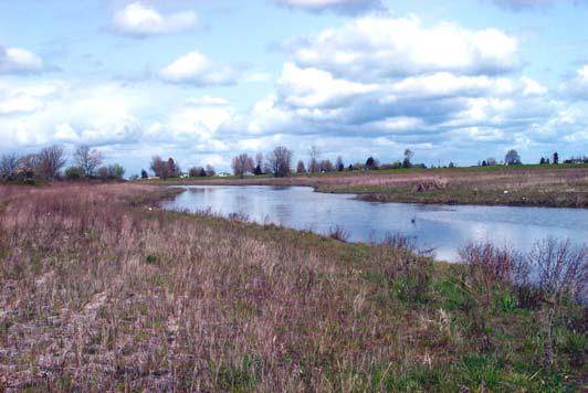 These include the Eugene/Springfield Metro Plan (1987), Eugene Parks and Recreation Plan (1989), West Eugene Wetland Plan (2000), Willamalane Park, Recreation, and Open Space Plan (1995), Lane County