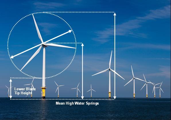 Turbine Parameters Turbine Height (MHWS) Project : One = 200m Two to Four = 272m Rotor