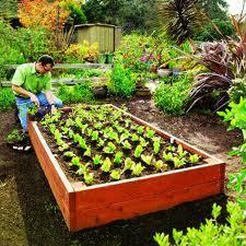 G5.4 Plan for Edible Landscape/Food Garden Requirement: A minimum of 50 square feet