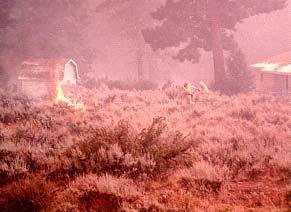 fire Burning embers can also be carried by wind and fire whirls If these burning embers land in areas with easily
