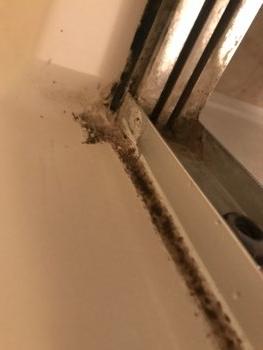 Fungal growth around shower door