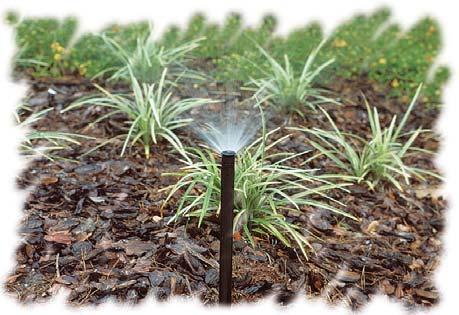 Irrigation Methods Micro-irrigation Micro-irrigation in plant beds results in more efficient water application because it targets the root zone of the plants, irrigating 50 percent or less area.