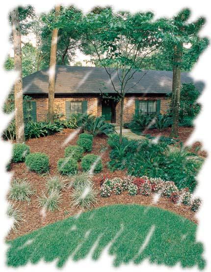 Florida-Friendly Landscaping TM The Nine Principles of Florida-Friendly Landscaping TM Are: Right Plant, Right Place Plants selected to suit a specific site will require minimal amounts of water,