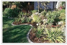 - Recently Transplanted Plants