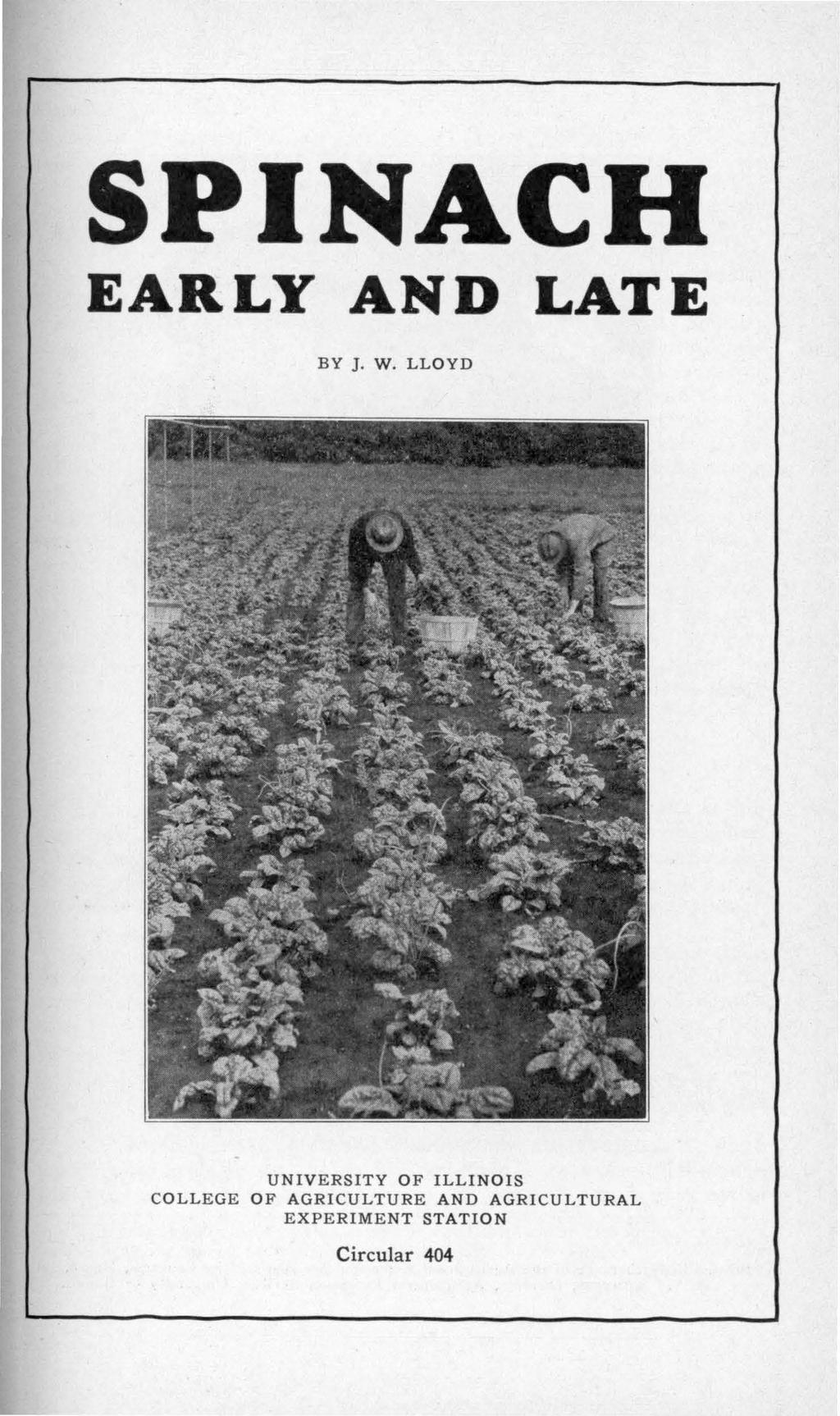 SPINACH EARLY AND LATE BY J. W.