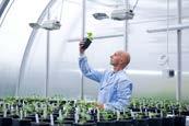 Wheat Research Plant science & Weed Science Seed Science Research Agriculture