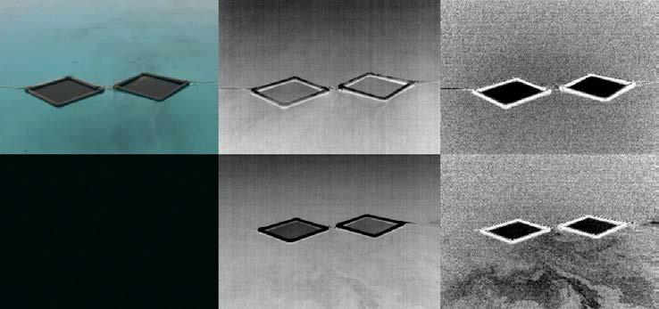 polarization imagery from 3 to more than 50 times better contrast