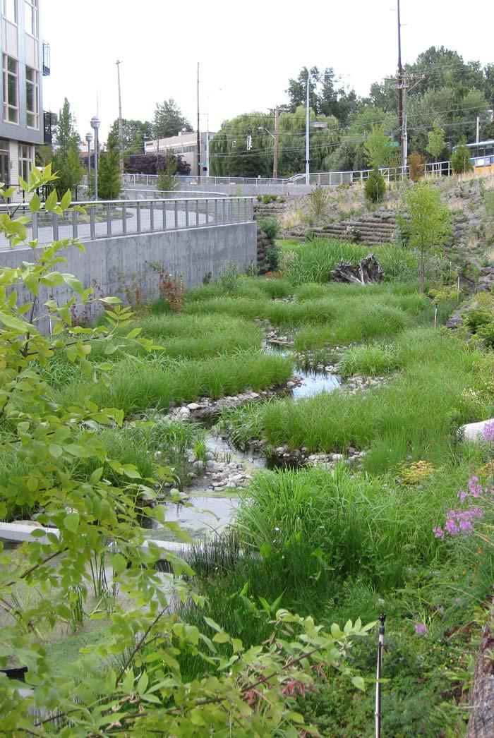 Stormwater Management Pervious surfaces, such as lawns and planting beds, help treat stormwater runoff close to the source When