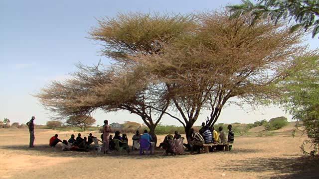 Landscapes Improve Our Lives A single tree can serve as informal meeting places for group and individual activity