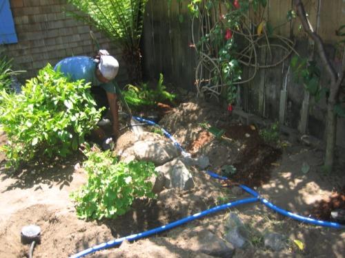 Step 4: Lay Tubing Roll HDPE tubing out in the trench to mulch basins Stake tubing