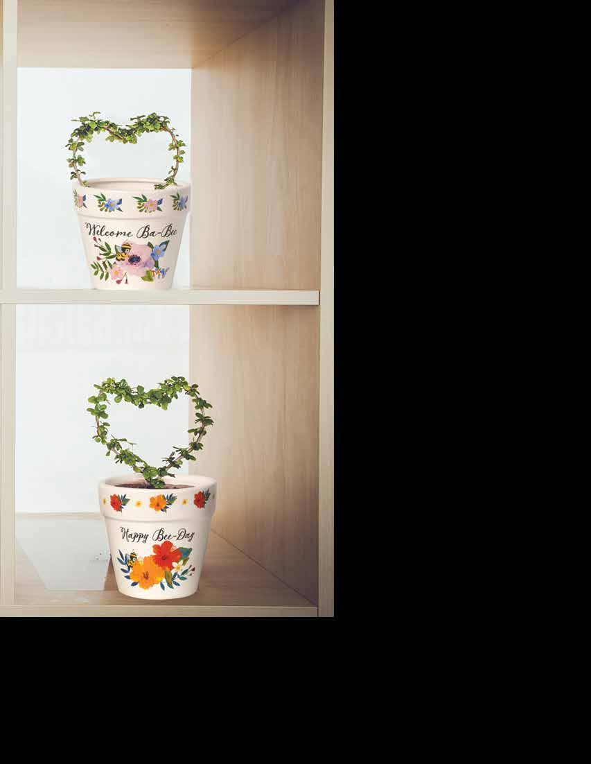 Planters and Mugs Indoor Use Only Contents Not Included Welcome Ba-Bee Flower Pot