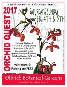 ORCHID QUEST 2017 UP-DATE We love all the new ideas that are coming in for OQ 2017.