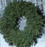 Holiday Holiday Wreaths UNDECORATED Long used as a Christmas decoration, undecorated wreaths are fragrant and natural. These Fraser Fir wreaths add to the joy of the season!