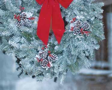 Type Product # Product Description Pack/Pack Size WREATH (DECORATED) WFBCL10 FRASER FIR WREATH W/ BOW 10/20 BOX (10), HALF SALES RACK (32) $8.
