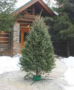 Fresh Cut BALSAM FIR The Balsam Fir Christmas Tree has dark green and fragrant foliage. Soft needles and a straight stem make this tree highly desirable.