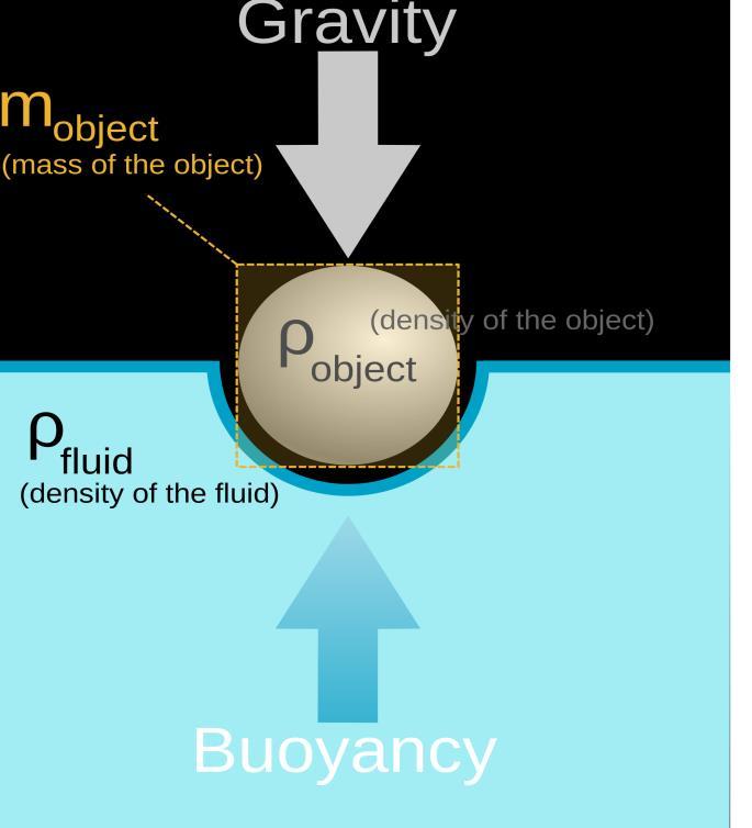 buoyancy is an upward force exerted by a fluid