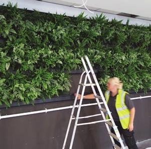 Live Greenwalls and plants not only improve air quality, they also provide uplifting and calming effect on people whilst having a positive impact on mental health.