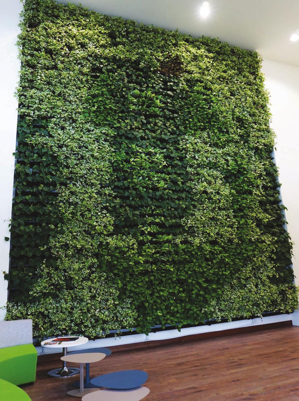 System easily transforms walls into an attractive, living surface Living Walls We know