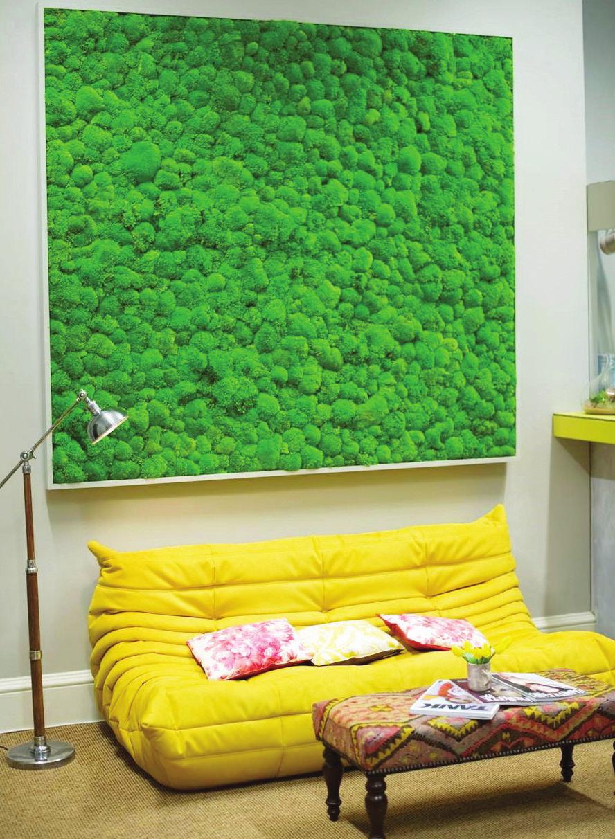 You can take the outdoors inside & bring your walls to life Moss Walls Moss is fast becoming a popular green wall solution.