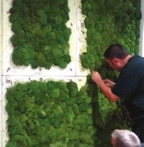 Incorporating moss walls into workplace interiors creates a stunning visual, helping you stand out from the crowd.