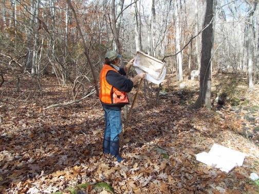 Riffle Bioassessment by Volunteers (RBV) - 2012 Partners: The Last Green Valley Volunteer Water