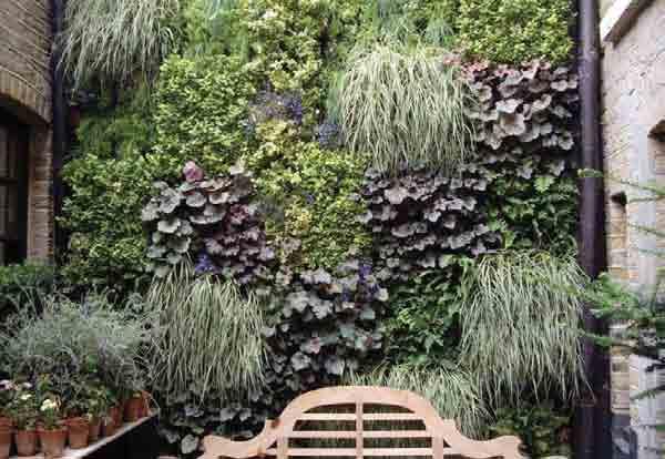 Maintenance It is essential that a full post-installation maintenance programme is negotiated with the sale of living wall systems. Warranties will not be valid without such maintenance packages.