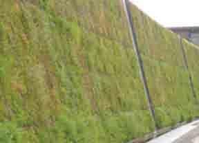There is a reservoir and drainage holes as part of the irrigation system A horizontal gutter is secured at the bottom of the living wall to catch excess water.