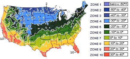 USDA Hardiness Zone Map Plants hardy in your zone can be left in the pond, keeping the roots below the freeze line of the pond water.